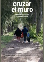 Cruzar el muro movie poster