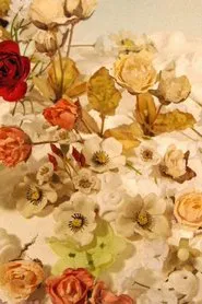 Hobo Clown movie poster