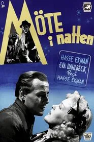 Poster do filme Meeting in the Night