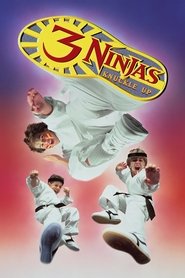 3 Ninjas Knuckle Up movie poster