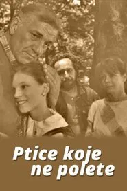 Poster do filme Some Birds Can't Fly