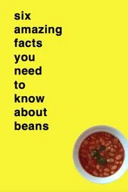 Six Amazing Facts You Need to Know About Beans movie poster
