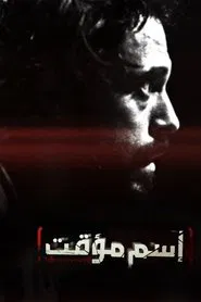 Temporary Name tv show poster