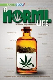 A Norml Life movie poster