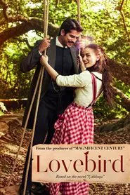 Lovebird tv show poster