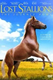 Lost Stallions: The Journey Home movie poster