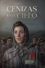 Ashes in the Sky movie poster