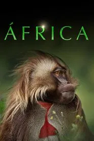 Poster da série Africa