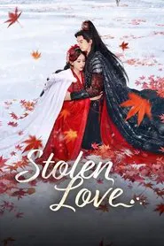 Stolen Love tv show poster