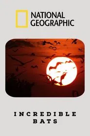 Incredible Bats movie poster