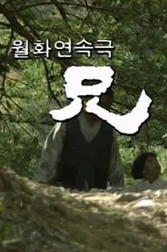 Poster da série 형