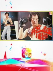The Boxer tv show poster