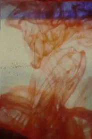 Poster do filme Afternoon In