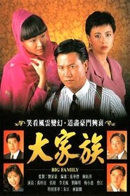 Big Family tv show poster