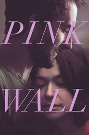 Pink Wall movie poster