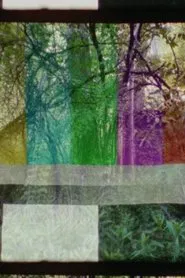 Poster do filme SMPTE FOREST