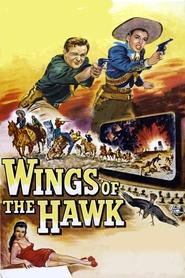 Poster do filme Wings of the Hawk