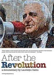 Poster do filme After the Revolution