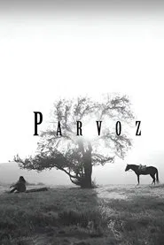 Poster do filme Parvoz