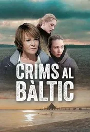 The Nordic Murders tv show poster