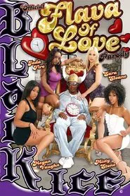 Official Flava of Love Parody movie poster