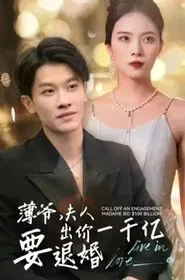 薄爷，夫人出价一千亿要退婚 tv show poster