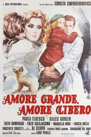 Amore grande, amore libero movie poster
