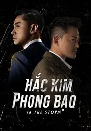 In the Storm tv show poster