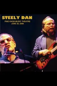 Steely Dan: Live at Pine Knob Theatre movie poster