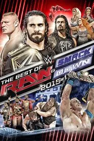 WWE The Best of Raw & SmackDown 2015 movie poster