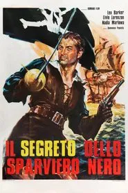 Poster do filme The Secret of the Black Falcon