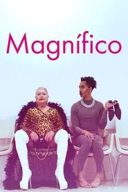 Poster do filme Magnífico