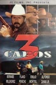 3 capos movie poster