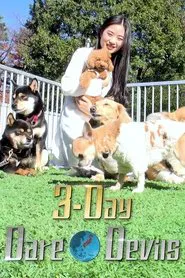 3-Day Dare*Devils tv show poster