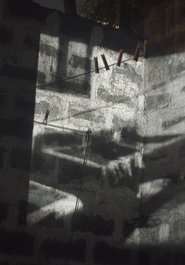 Landscape Project movie poster