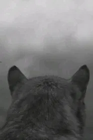 From the Mountain movie poster