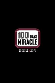100 Days Miracle tv show poster