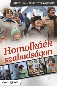 Homolka and Pocketbook movie poster
