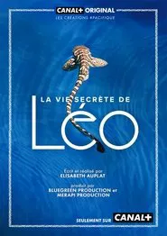 La Vie secrète de Léo movie poster