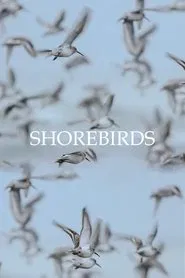 Shorebirds movie poster