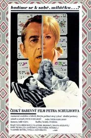 Do We Match Each Other, Darling? movie poster