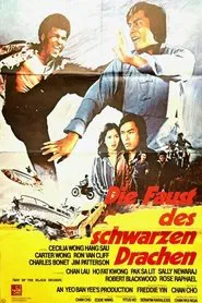 Way of the Black Dragon movie poster