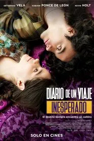 Diary of an Unexpected Journey movie poster