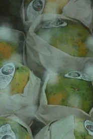 Global Fruit movie poster