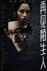 再见，陌生人 movie poster