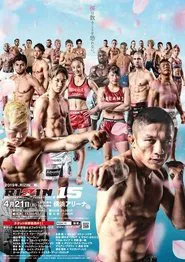 RIZIN 15 movie poster