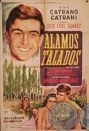 Poster do filme Álamos talados
