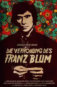 The Brutalization of Franz Blum movie poster