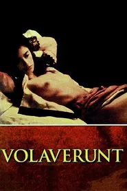 Poster do filme Volaverunt