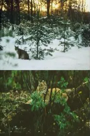 The Story of Ilves movie poster